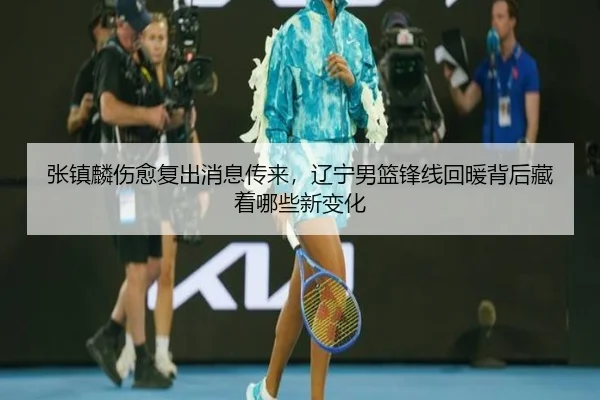 张镇麟伤愈复出消息传来，辽宁男篮锋线回暖背后藏着哪些新变化